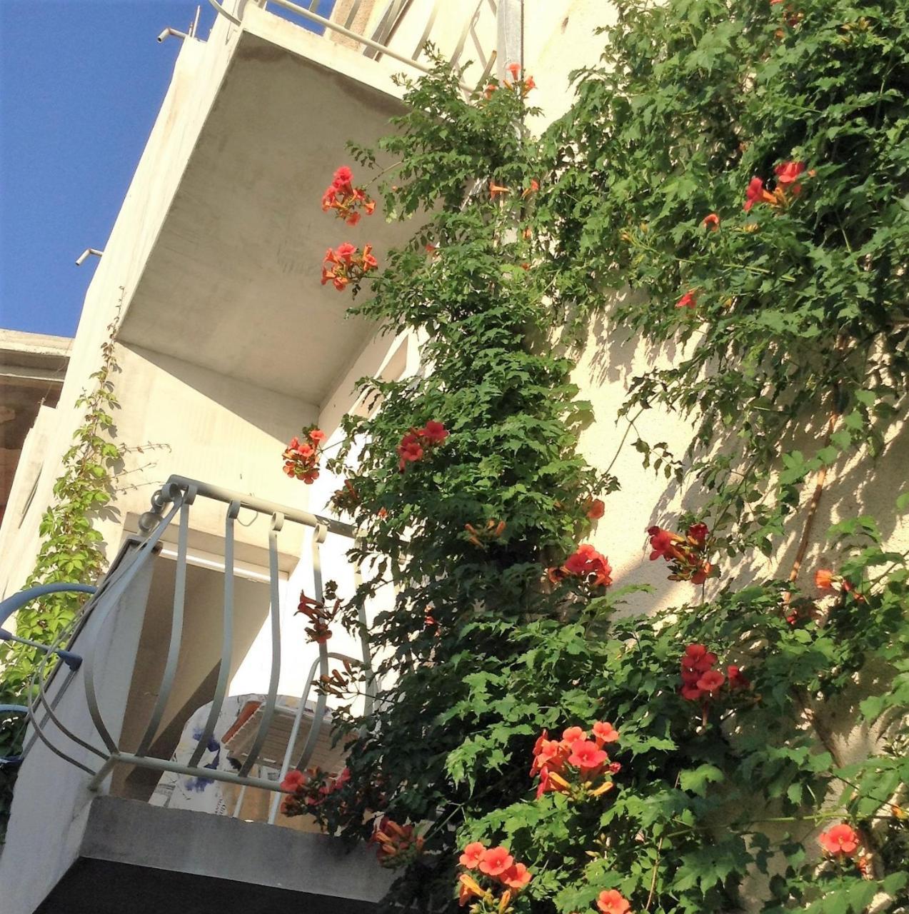 Apartments Leut Drasnice Bilik gambar